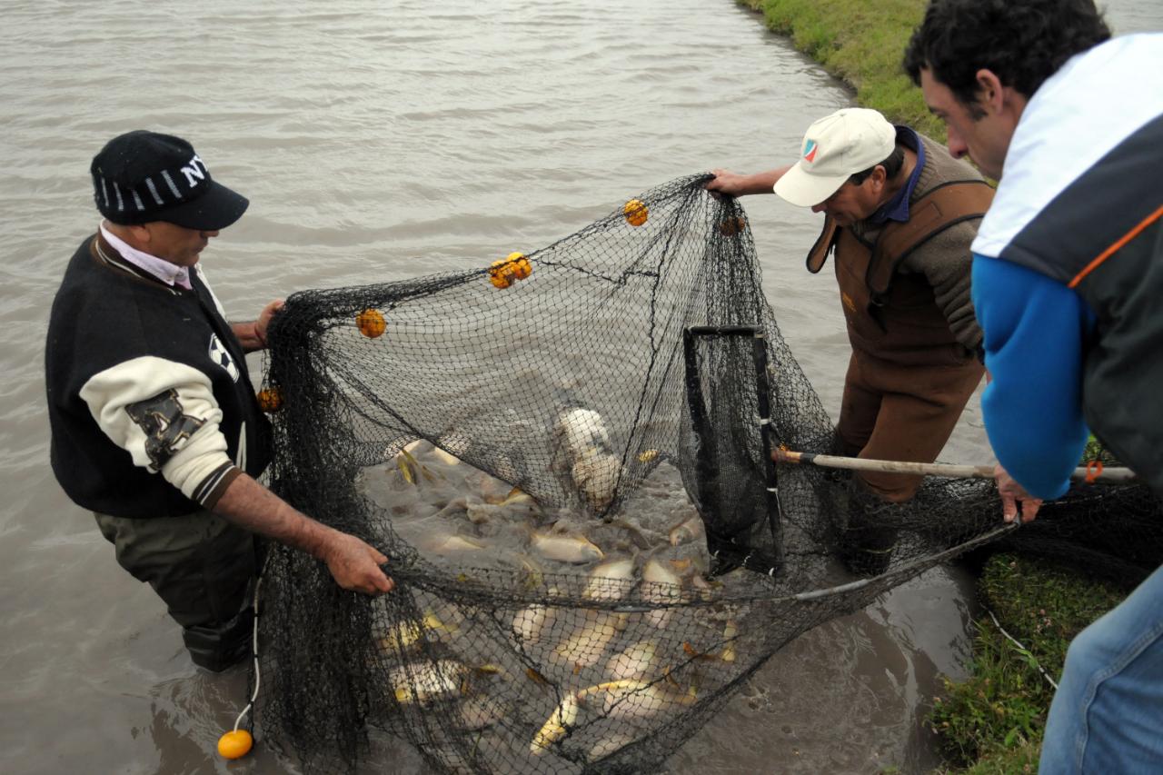 La pesca es su especialidad